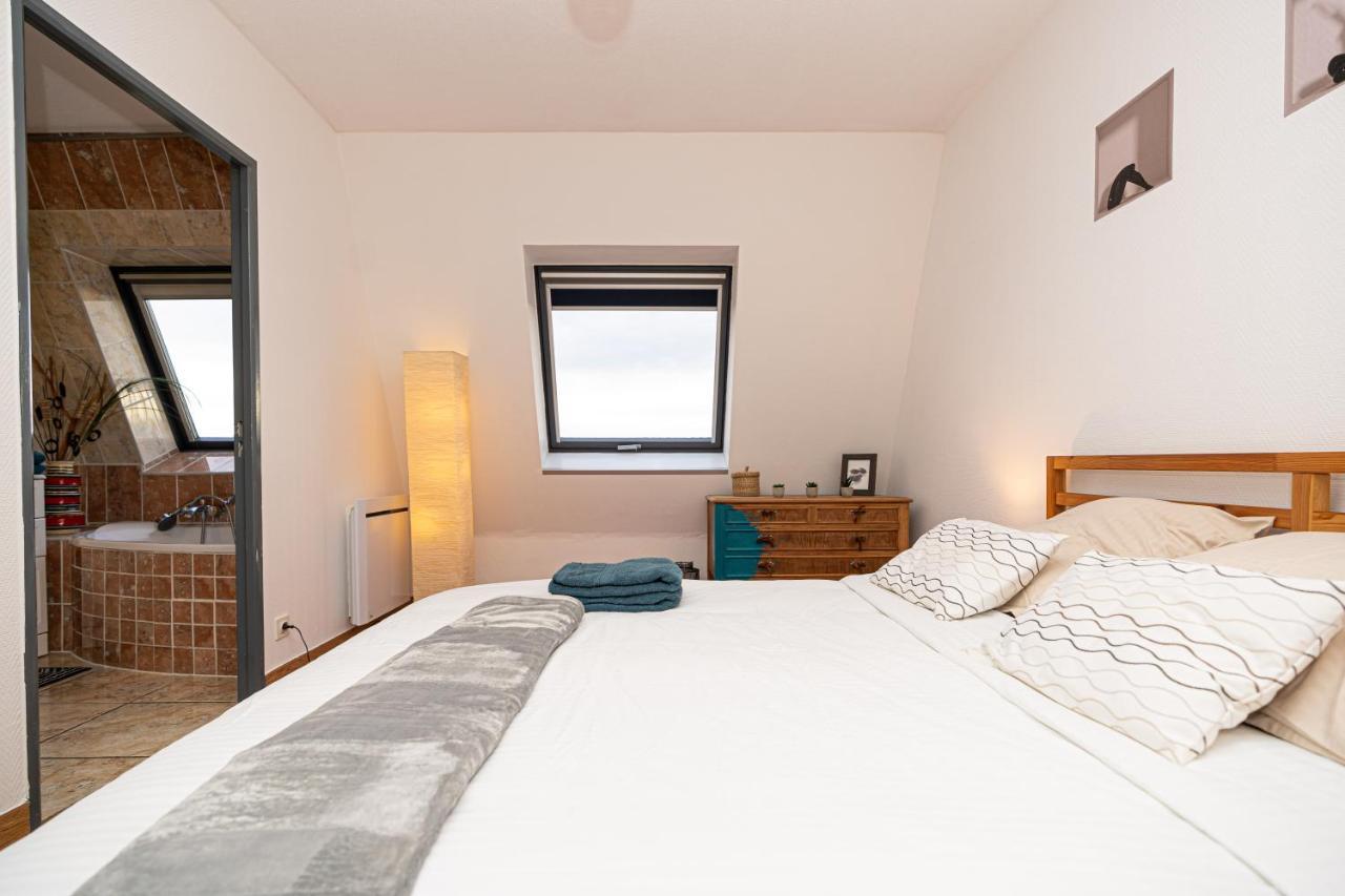 * * Le Duplex Des Cigognes * * Appartement