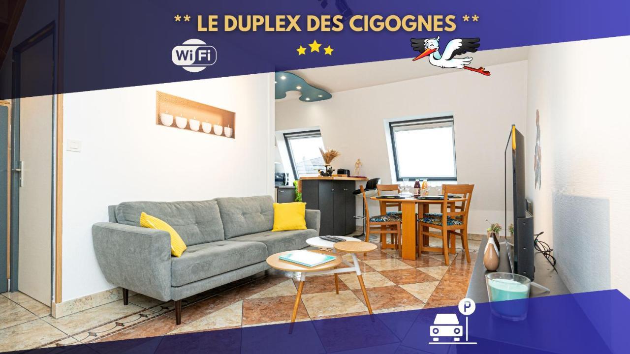 * * Le Duplex Des Cigognes * * Appartement *